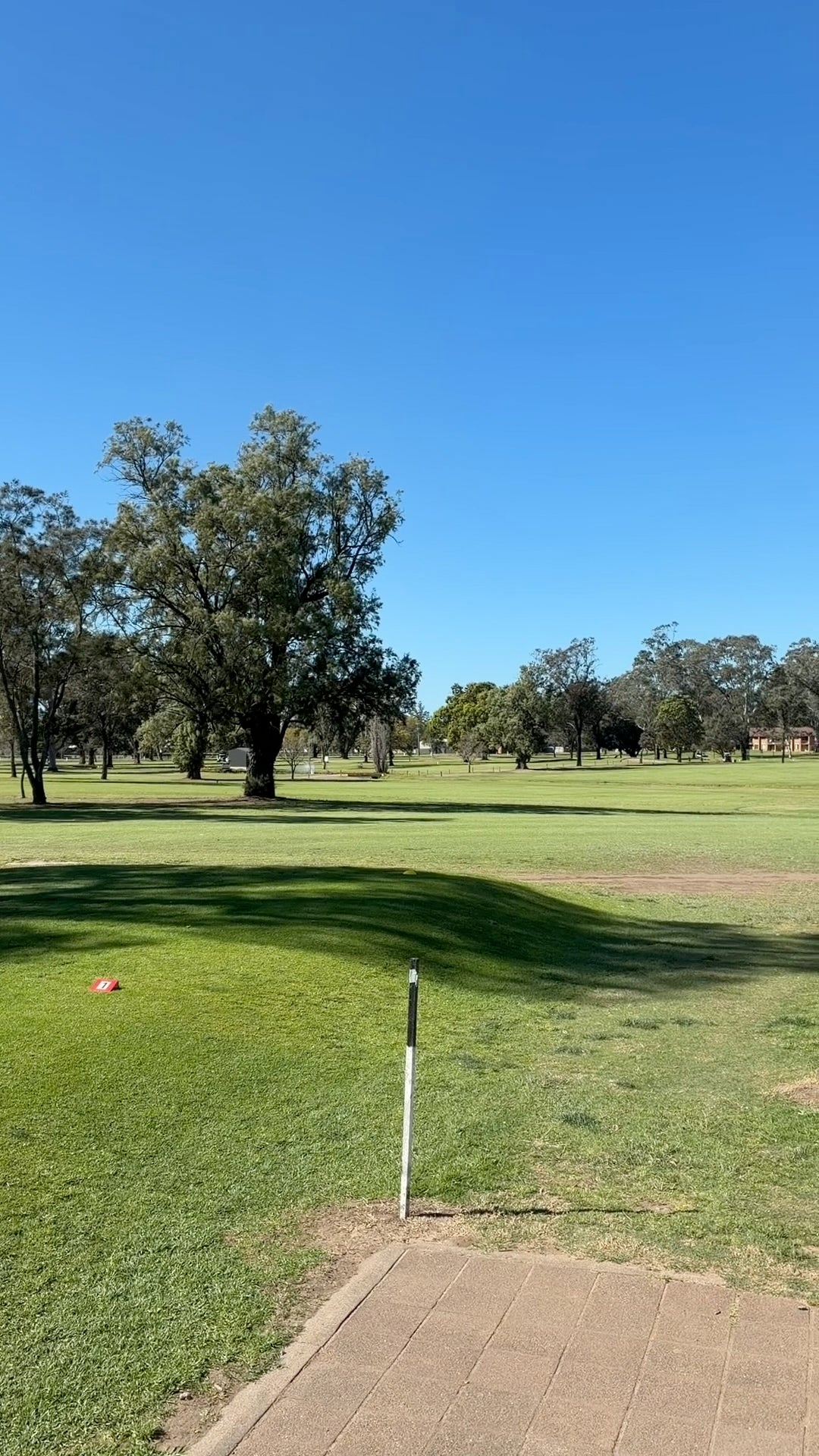 Playing Singleton Golf Club: A Rough, Honest, and Rewarding 9-Hole Round